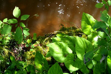 Green flowing