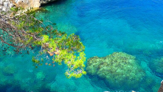 Nature mediterranean color
