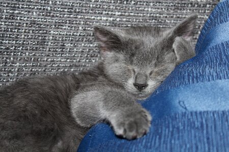 Sweet young cute