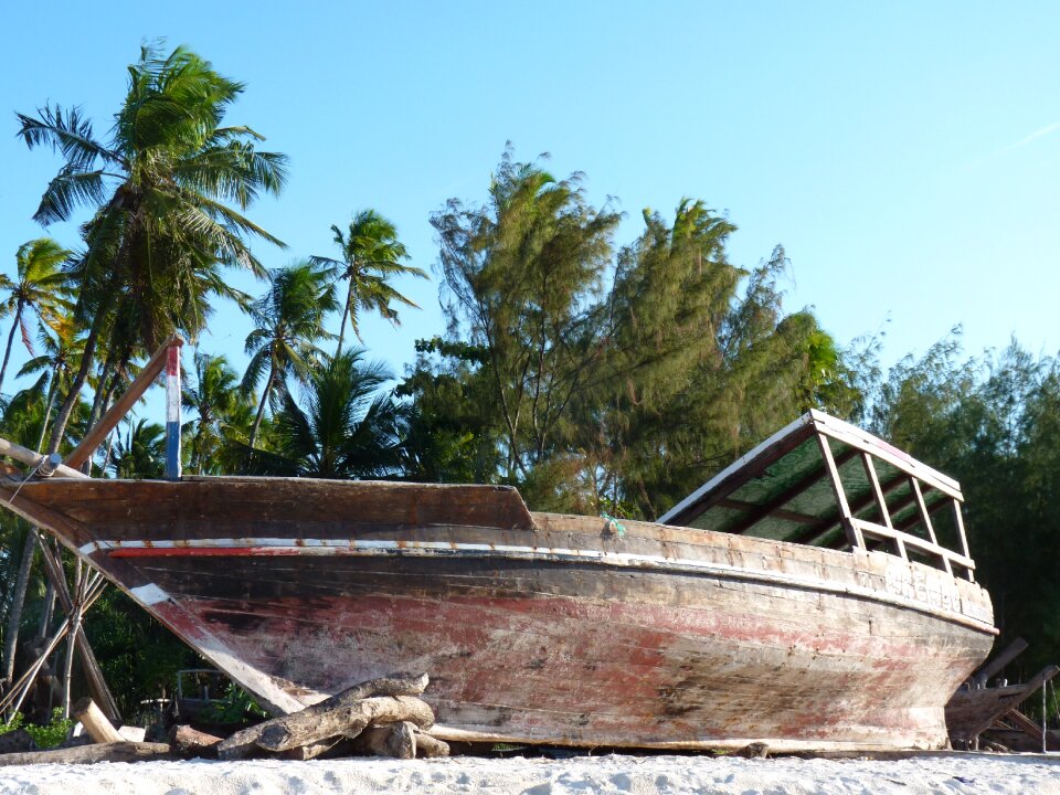 Boat beach palm trees