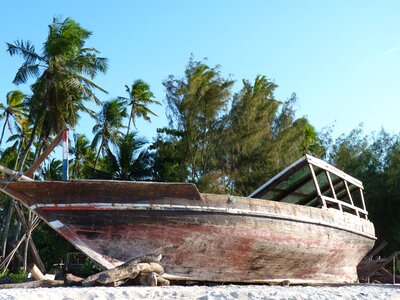 Boat beach palm trees photo