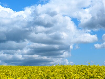Clouds sky summer