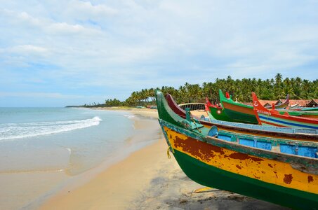 Tropical nature beach photo