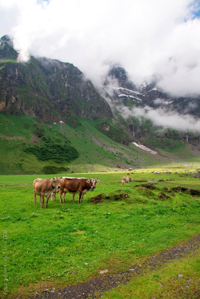Canton of glarus glarus oberblegisee