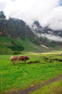 Canton of glarus glarus oberblegisee photo