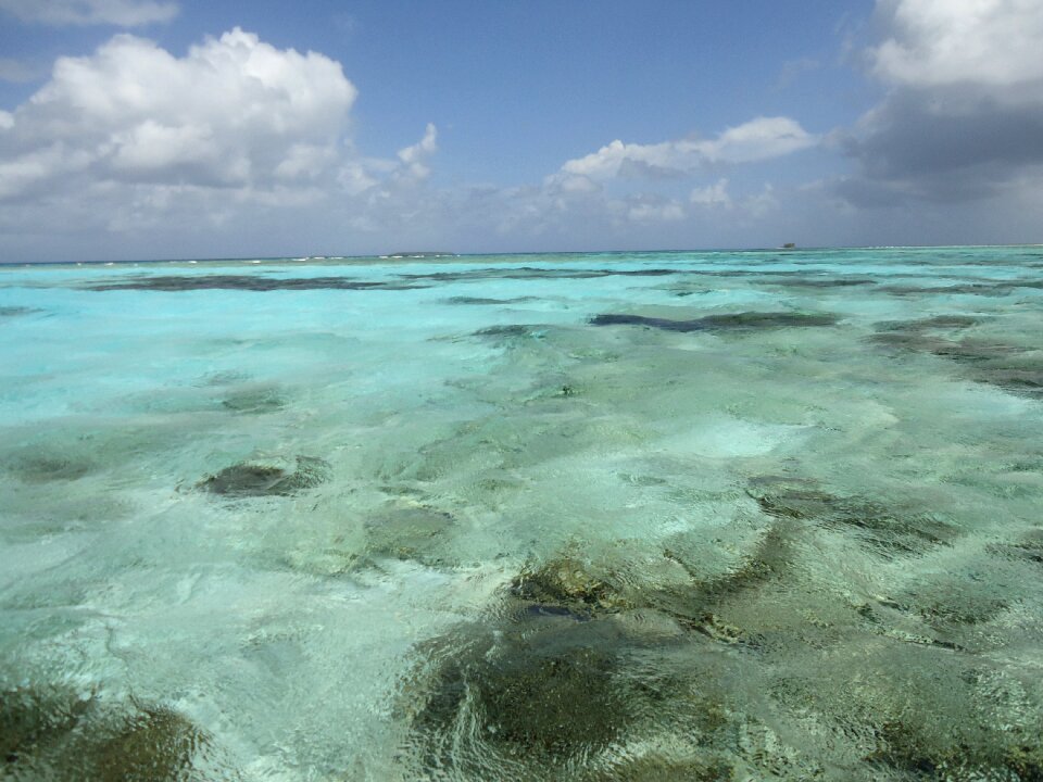 Calm clarity landscape