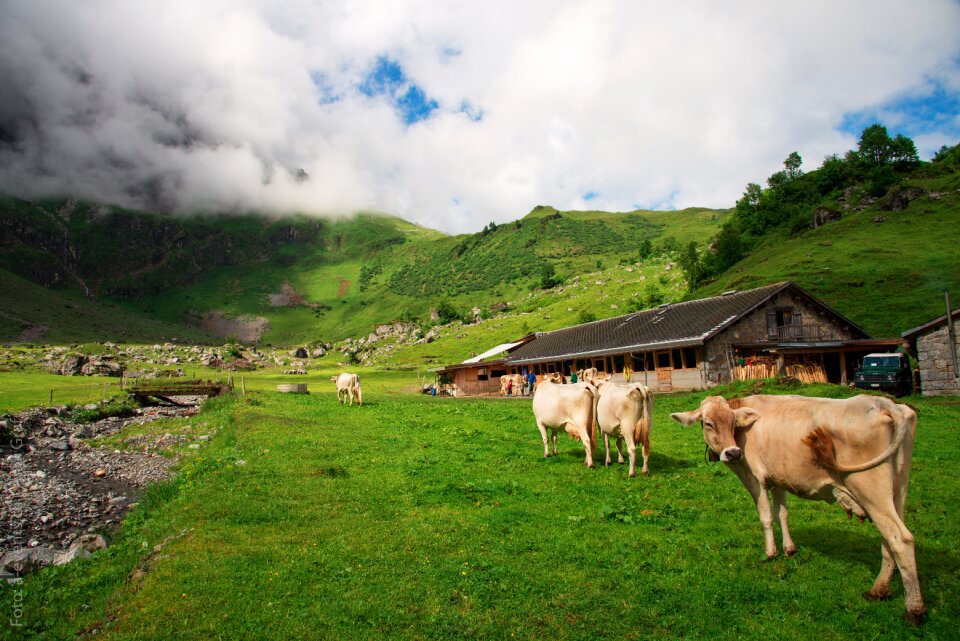 Glarus alp oberblegisee