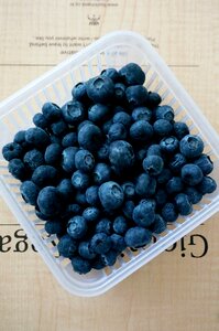Blueberry fruit purple