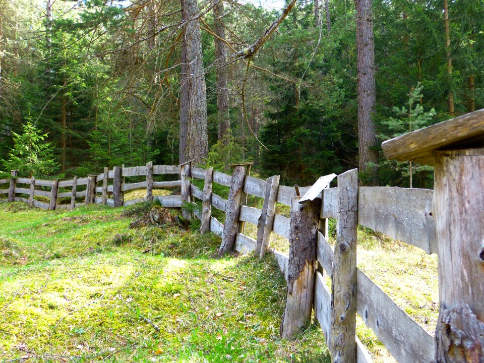 Plank fence limit wood photo