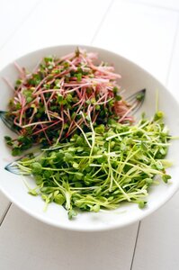 Vegetable plants plate