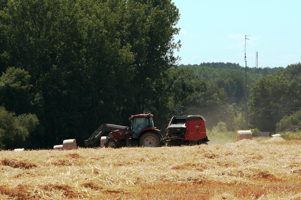 Work in the fields hay forage