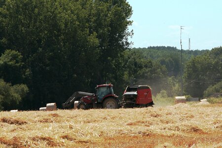 Work in the fields hay forage