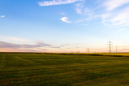 Oilseed rape arable sky