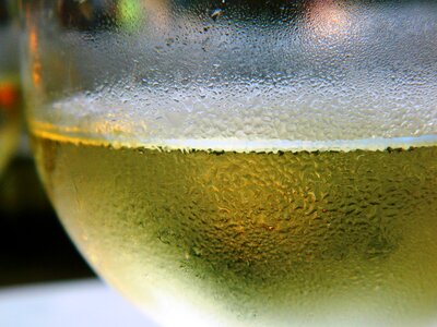 White wine glass wine glasses photo