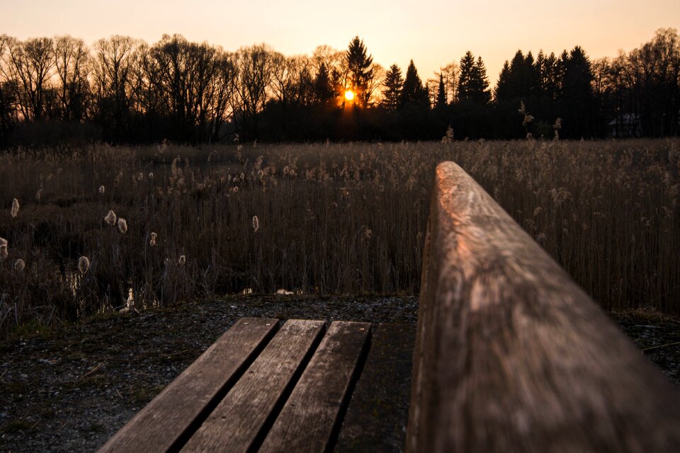 Twilight abendstimmung nature