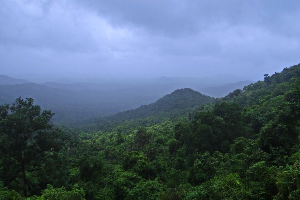 Mountains vegetation goa