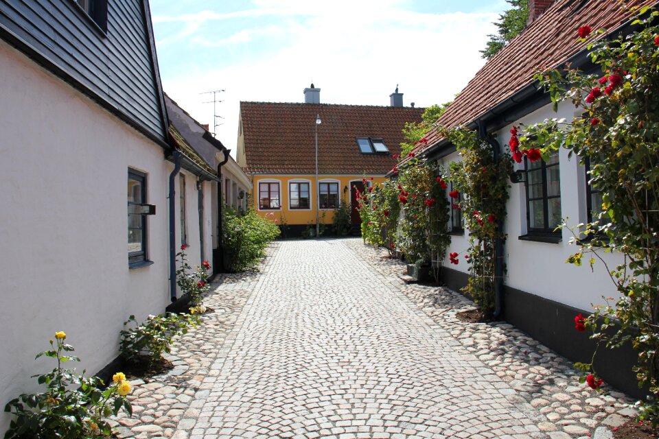 Simrishamn stone roses