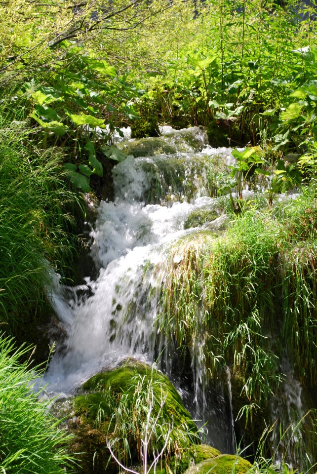 Nature plitvice lakes green waterfall photo