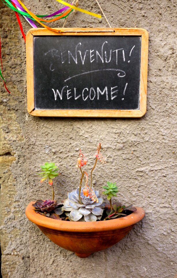 Font black planting tray