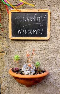 Font black planting tray