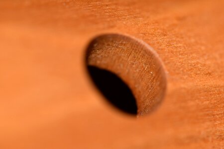 Music instrument wood
