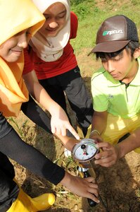 Activity farm growth