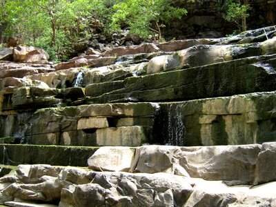Clif india jungle