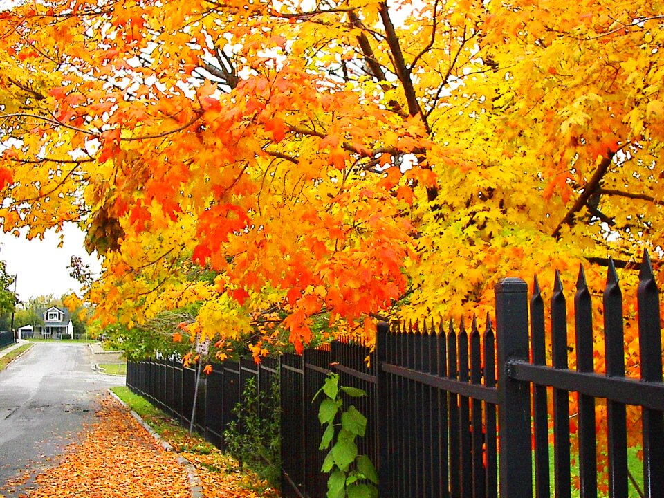 Nature season seasonal