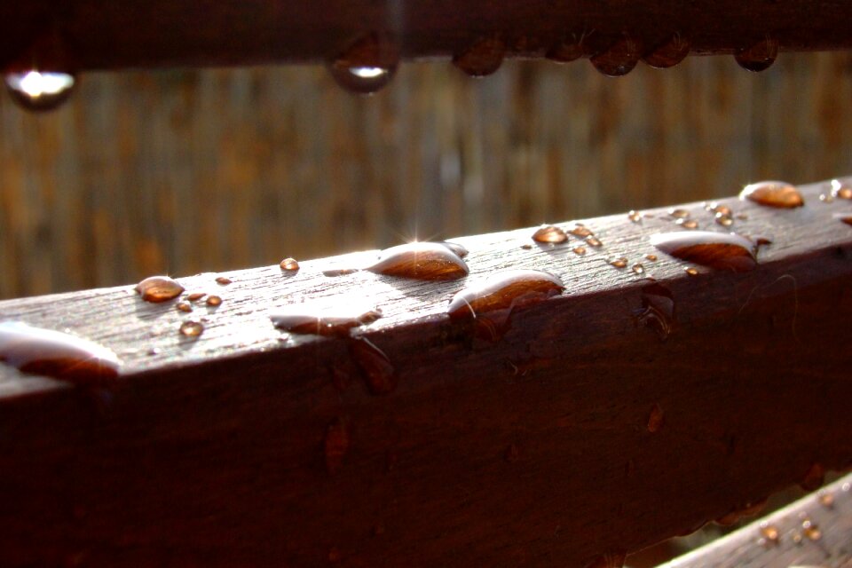 Dewdrop drip water