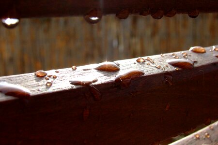 Dewdrop drip water