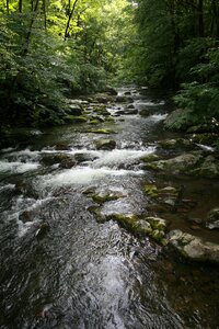 Water green creek photo