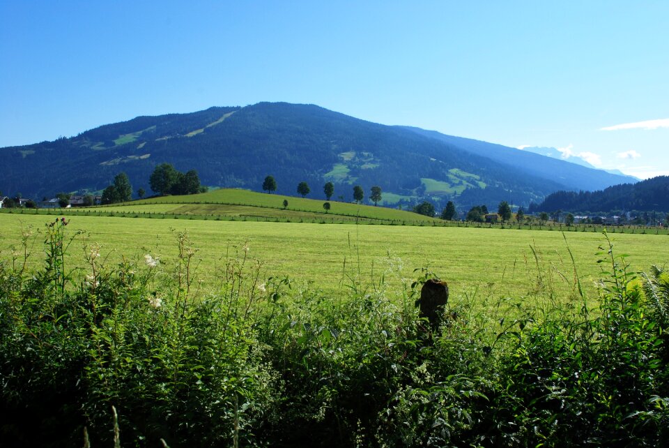 Mountain field