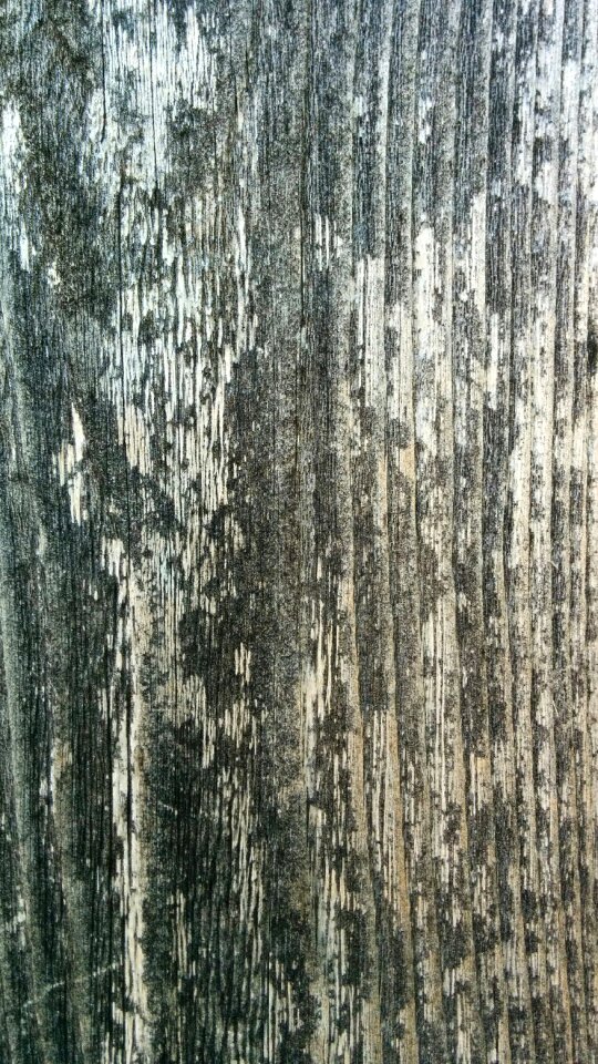 Wooden material timber