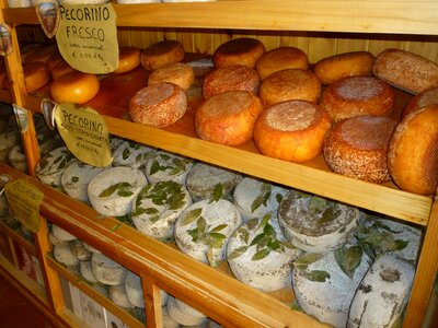Cheese loaf tuscany italy