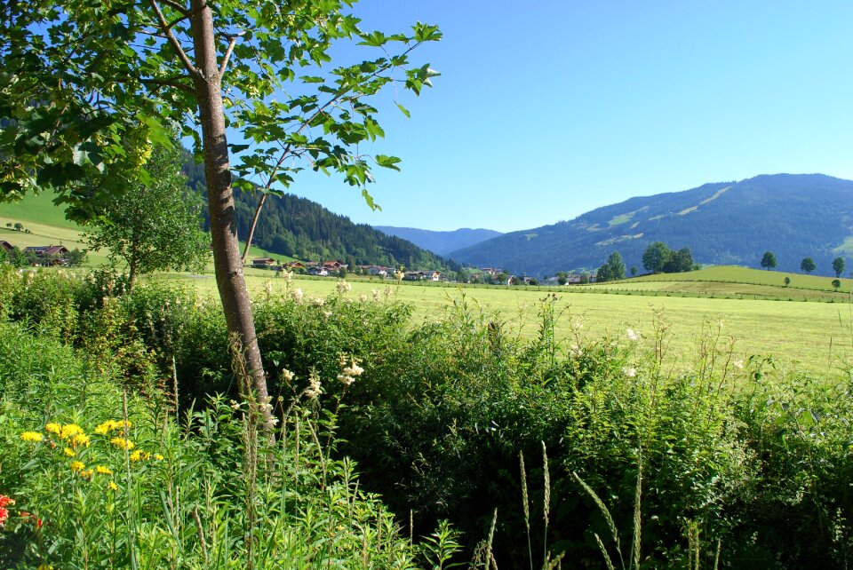 Austria europe scene