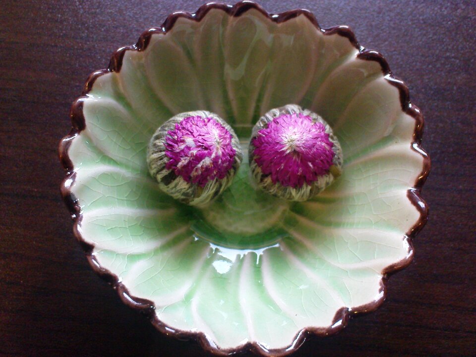 Tea flower asia red