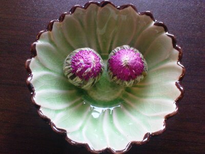 Tea flower asia red