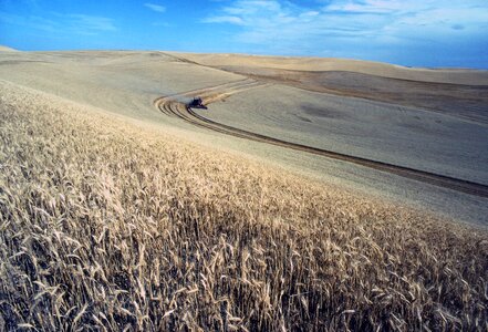 Landscapes nature