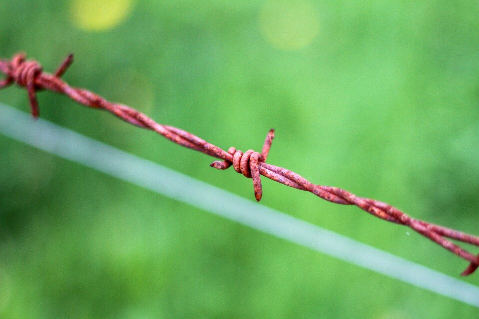Wire rusted close up