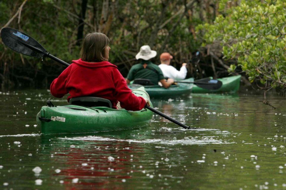 Calm kayaking canoeing
