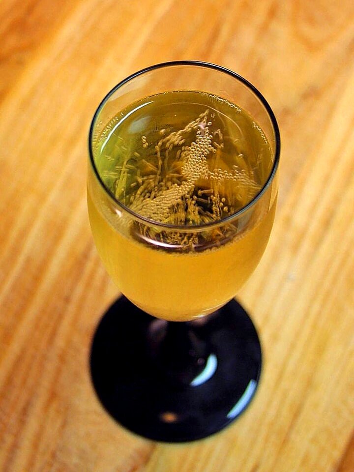 Drink food orange wine