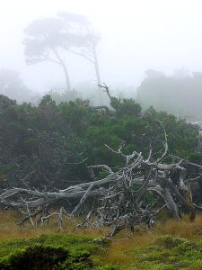 Landscapes nature