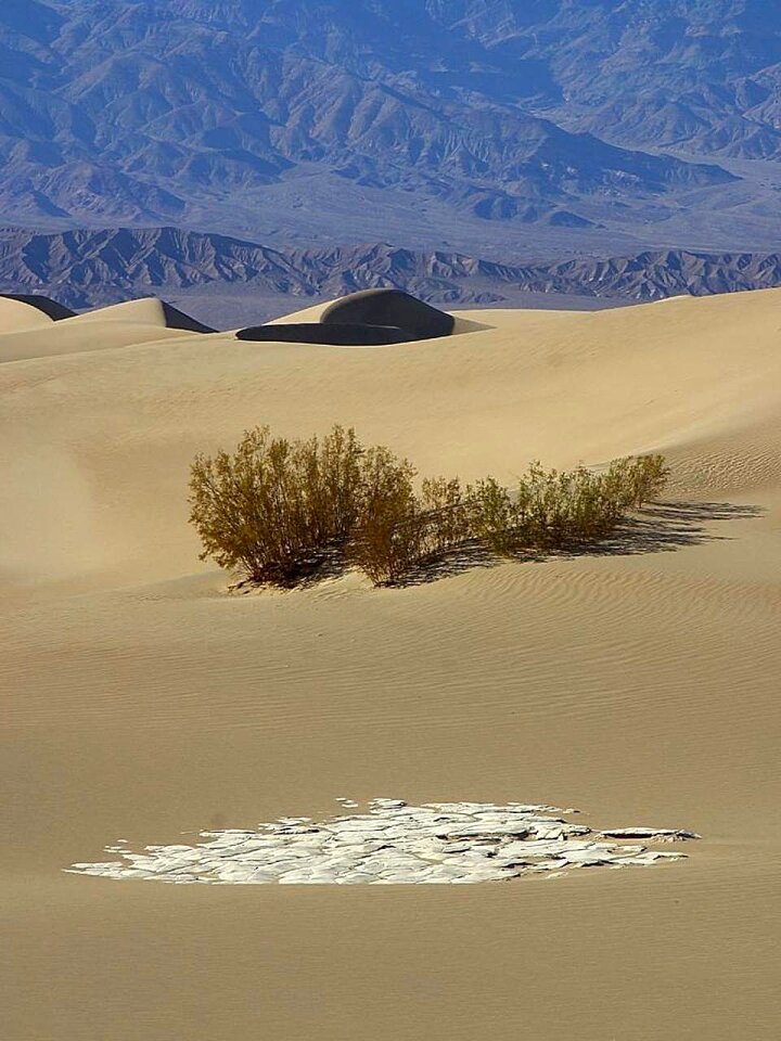 Landscapes nature