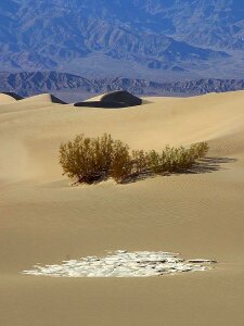 Landscapes nature