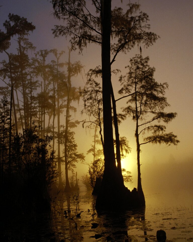 Okefenokee reserves parks
