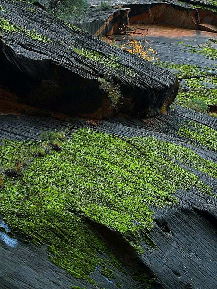 Stones rock landscapes
