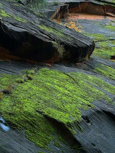 Stones rock landscapes