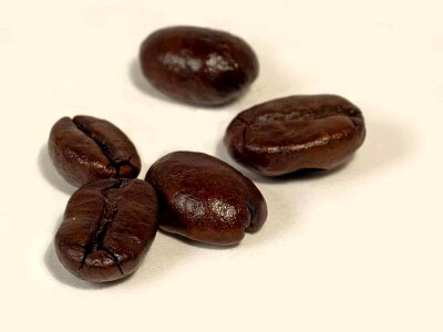 Roasted dark