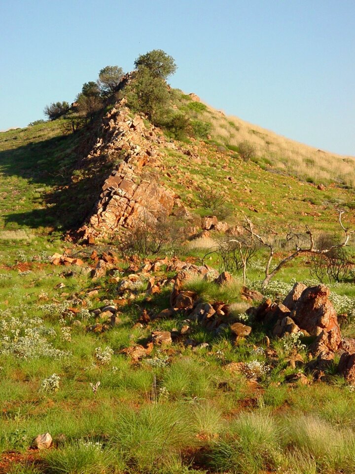 Back dragon hill