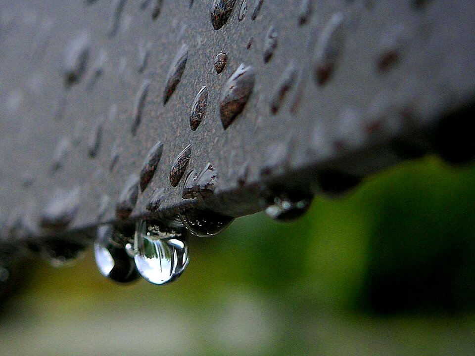 Rain landscapes nature